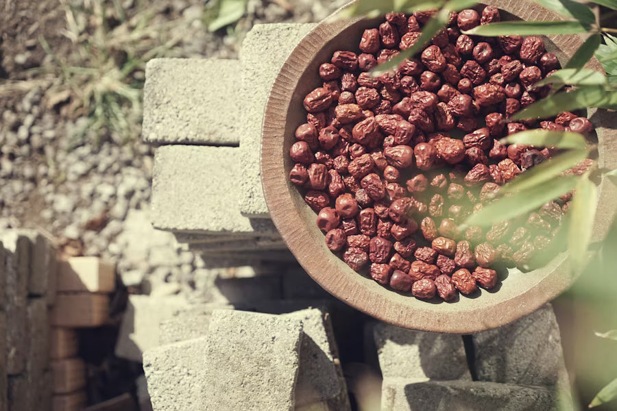 The Best Herbs for Period Support (Backed by Traditional Chinese Medicine)